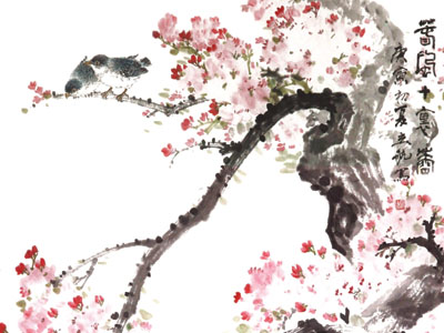 画