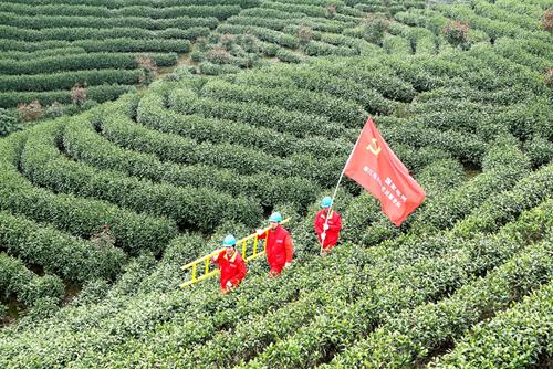 安吉县供电公司细化举措保障春茶炒制用电无忧.jpg