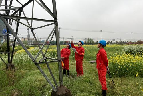 安吉县供电公司组建青年突击队　户外巡线保电.jpg