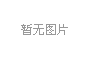 越南电力公司考察学习团再次访问泰仑电器公司