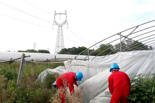 G:\9鏈?1鏃琛屽崗鍔ㄦ€乗闀垮叴鍏徃鍔犲己绾胯矾宸¤銆€瀹堟姢鐢电綉瀹夊叏.jpg